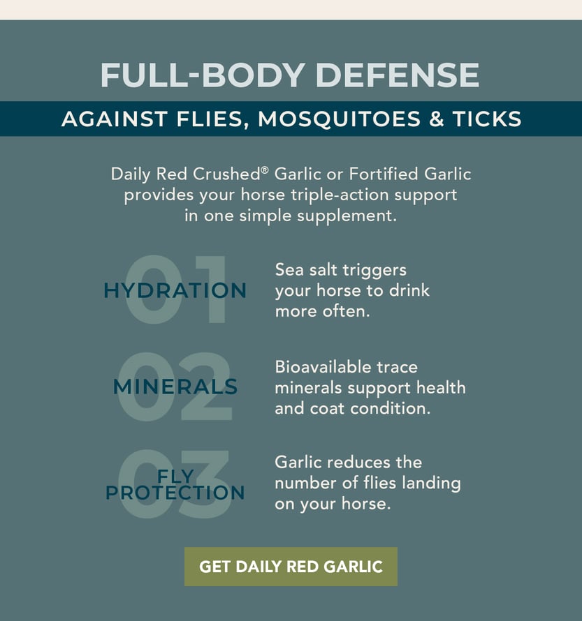 Daily Red Crushed Garlic or Fortified Garlic provides your horse triple-action support in one simple supplement.