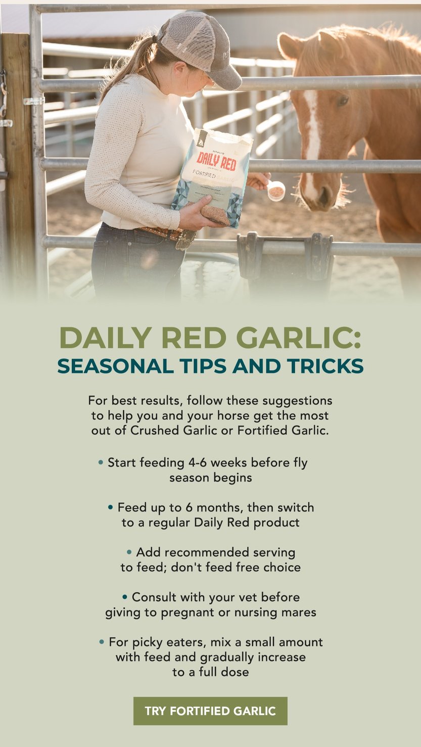 Tips and Tricks. Start feeding 4-6 weeks before fly season begins. Feed up to six months, then switch to a regular Daily Red product. Consult with your vet before giving to pregnant or nursing mares. For picky eaters, mix a small amount with feed and gradually increase to a full dose.