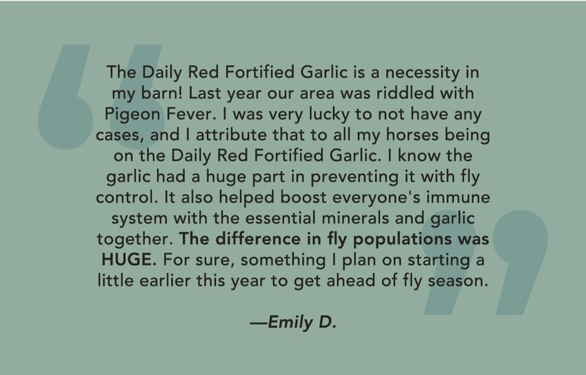 Daily Red Fortified Garlic is a necessity in my barn! Last year our area was riddled with pigeon fever. I was very lucky to not have any cases, and I attribute that to all my horses being on the Daily Red Fortified Garlic. - Emily D.