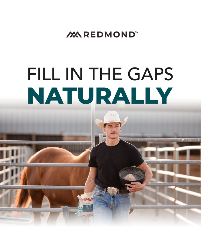 Fill In the Gaps Naturally