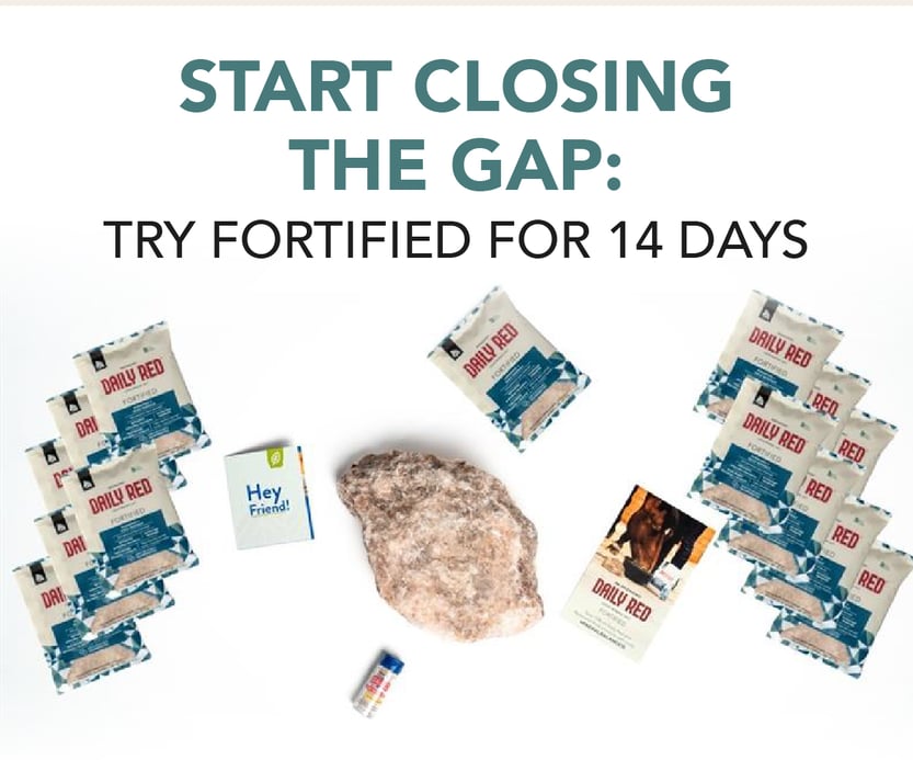 Start Closing the Gap: Try Fortified for 14 Days