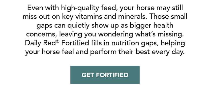 Even with high-quality feed, your horse may still miss out on key vitamins and minerals. Those small gaps can quietly show up as bigger health c oncerns, leaving you wondering what's missing. Daily Red Fortified fills in nutrition gaps, helping your horse feel and perform their best every day.