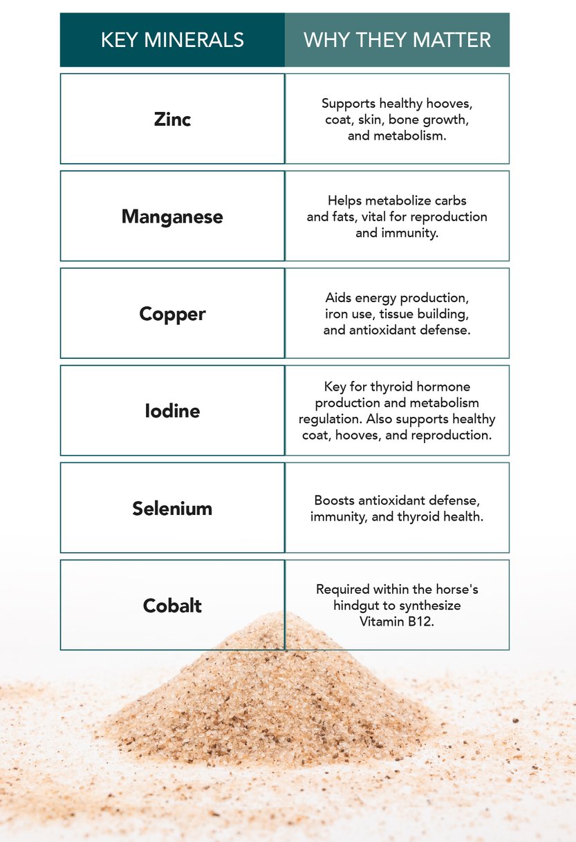 Key minerals and why they matter: zinc, manganese, copper, iodine, selenium., and cobalt.