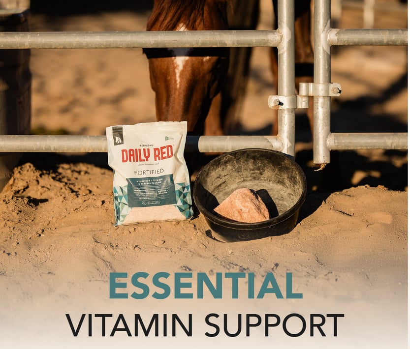 Essential Vitamin Support