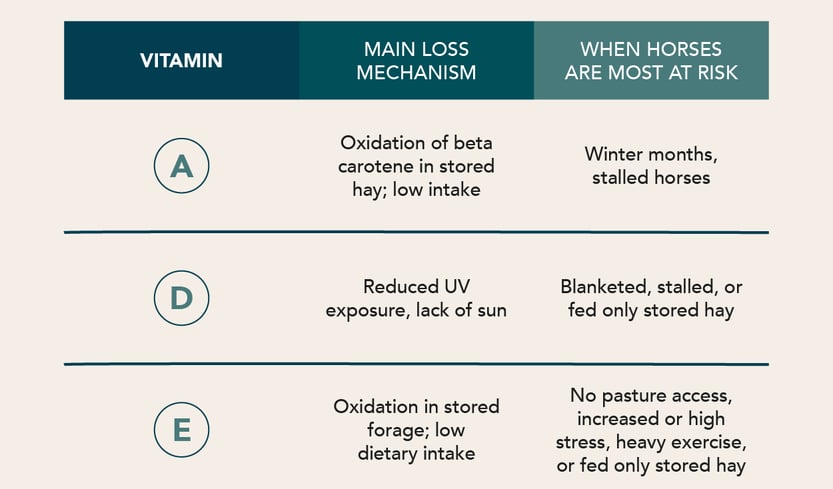 Main loss mechanisms and when horses are most at risk to become low in vitamins A, D, and E.