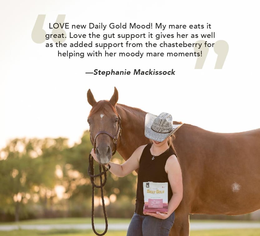 Love new Daily Gold Mood! My mare eats it great. Love the gut support it gives her as well as the added support from the chasteberry for helping with her moody mare moments!