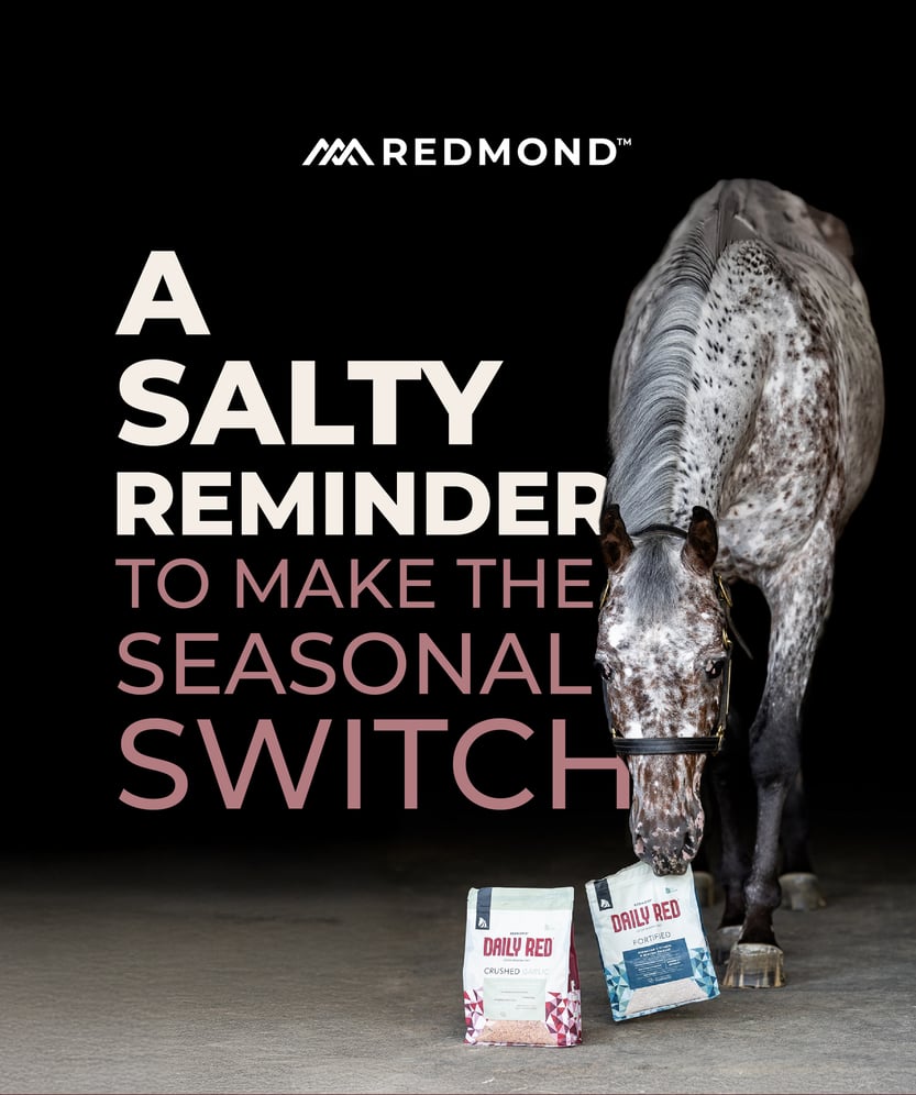 EQ-September Tribe Newsletter_v0925-R4_ 1