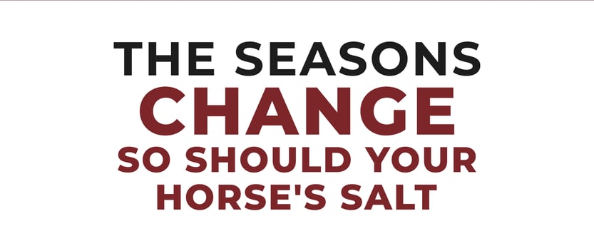 EQ-September Tribe Newsletter_v0925-R4_ 3