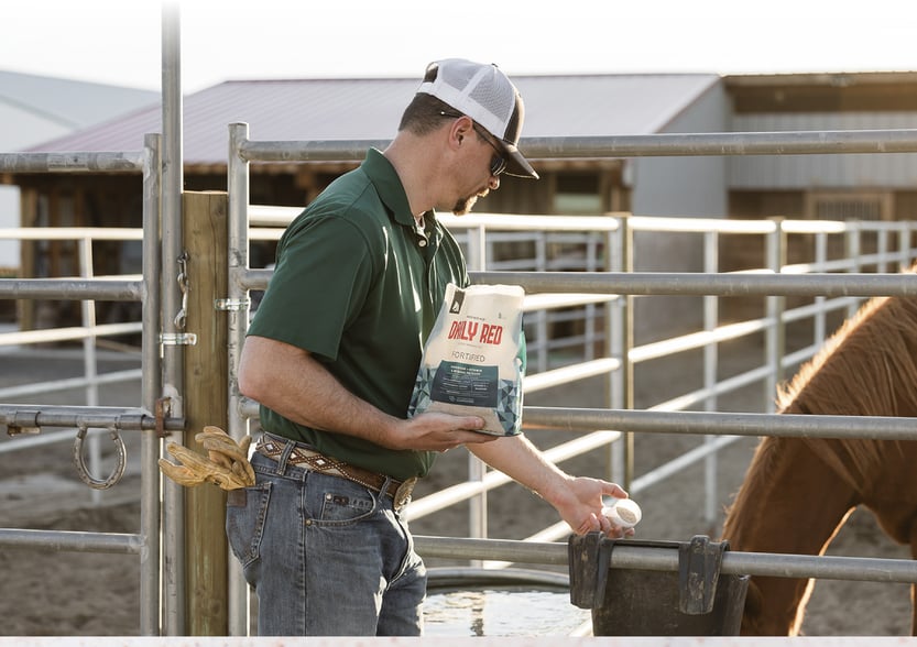 A man standing beside a rail fence adds Daily Red Fortified to his horse's feed bucket.
