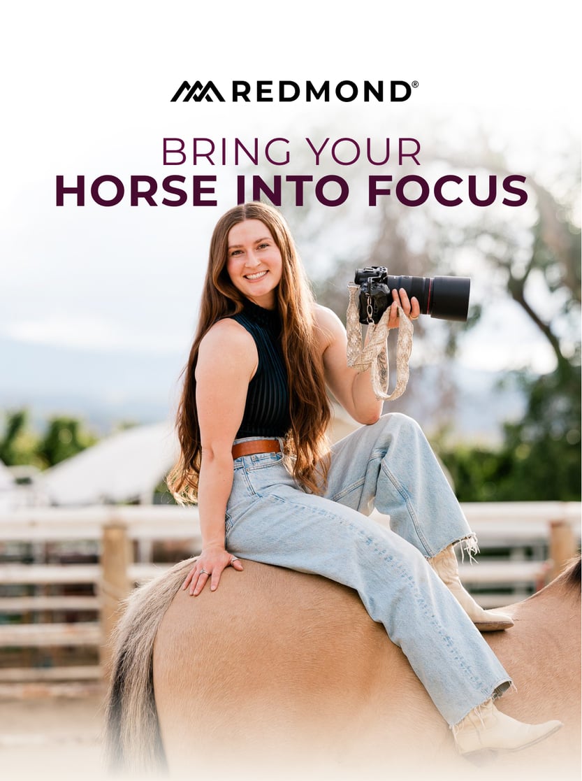 Bring Your Horse Into Focus