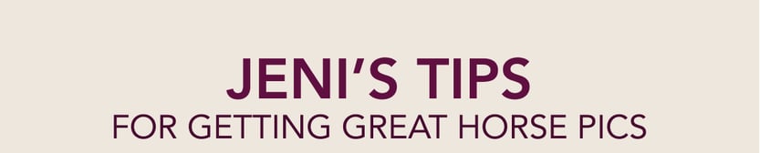 Jeni's TIps for Getting Great Horse PIcs