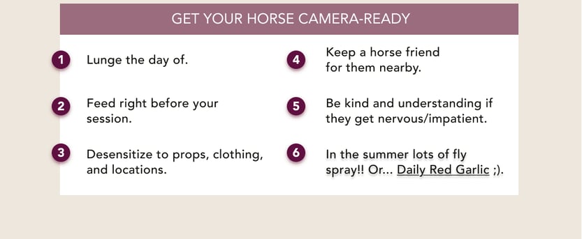 Get Your Horse Camera-Ready: 1. lunge the day of. 2. Feed right before your session. 3. Desensitize to props. 4. Keep a horse friend for them nearby. 5. Be kind and understanding if they get nervous/impatient. 6. In the summer, lots of fly spray.