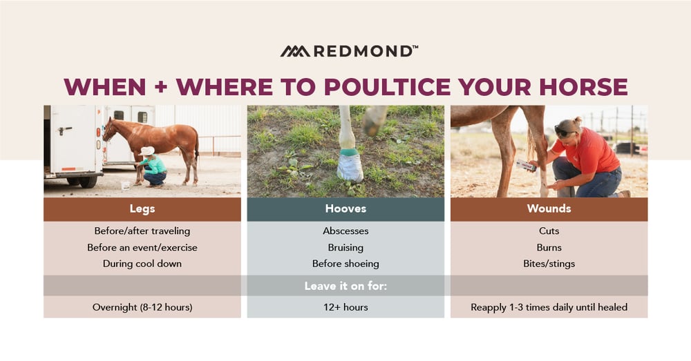 When and where to apply a poultice to your horse, such as legs, hooves, and wounds.