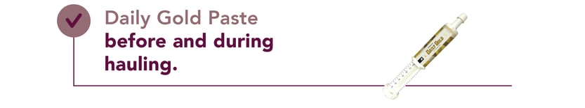 Daily Gold Paste before and during hauling.