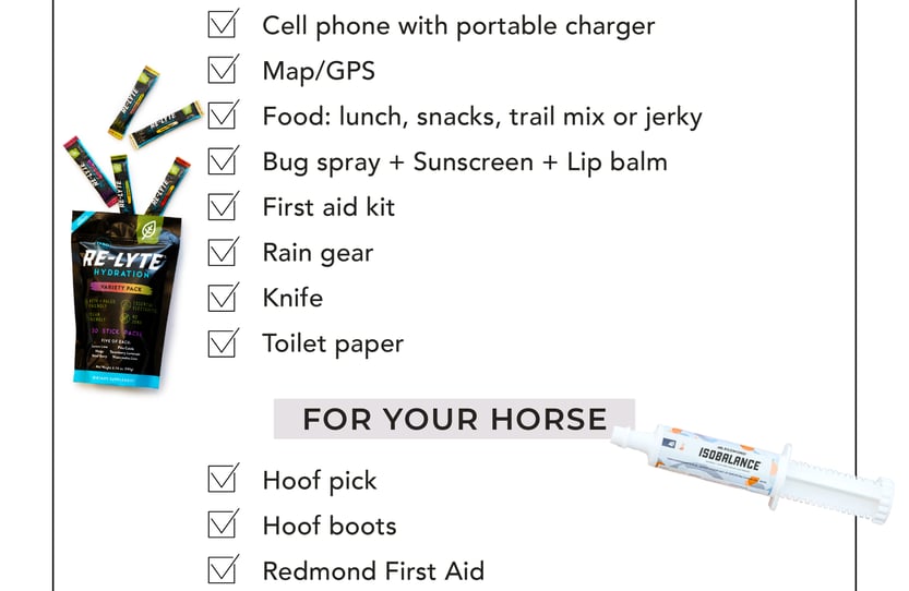 Cell phone with portable charger; map/gps; snacks; bug spray, sunscreen, lip balm; firs aid kit; rain gear; knife; toilet paper