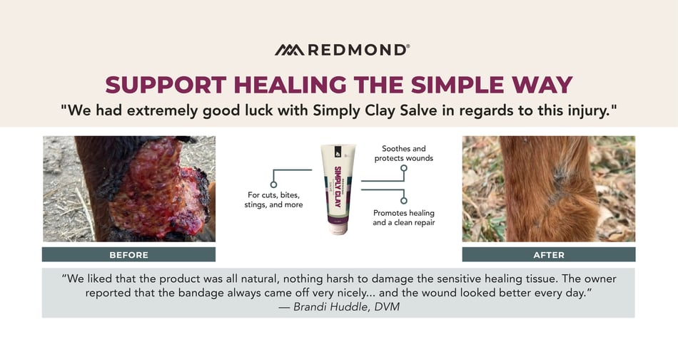 Horse Wound Care Blog Infographics 1