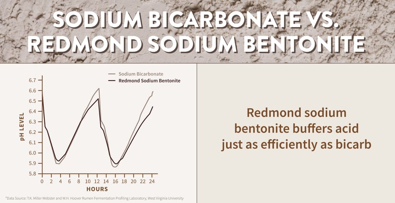 Bentonite for horses - Bentonite vs. sodium bicarbonate