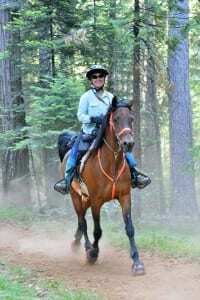 Bo-wild-west-2014