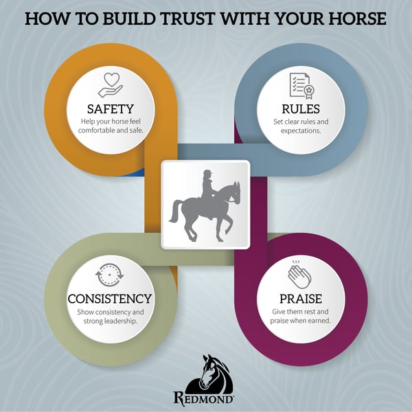 Build trust with your horse