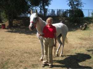 Equine_Sue2