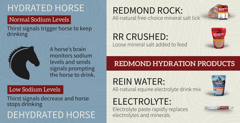 Hydration products-2