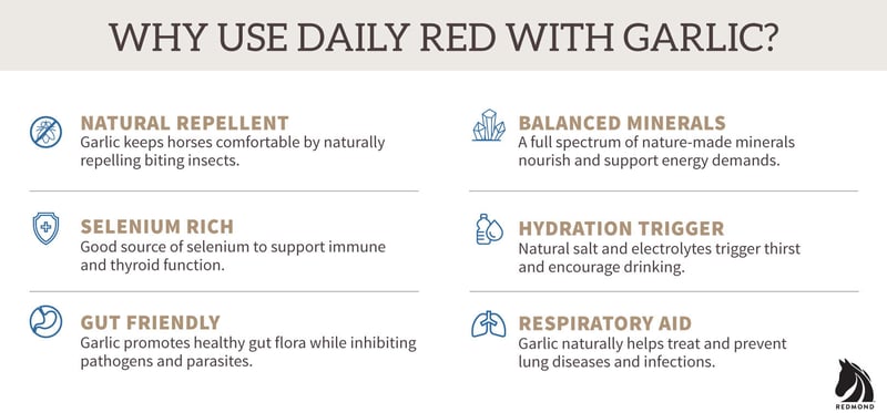 Try feeding Daily Red with Garlic garlic to horses for fly control.