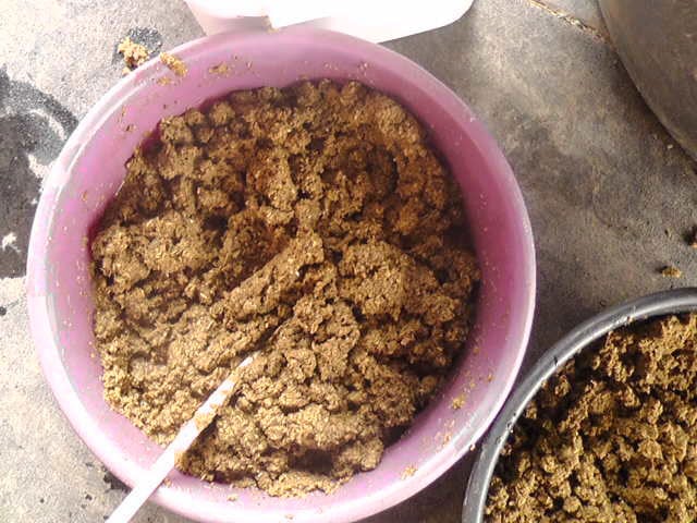 Wet mash for horses
