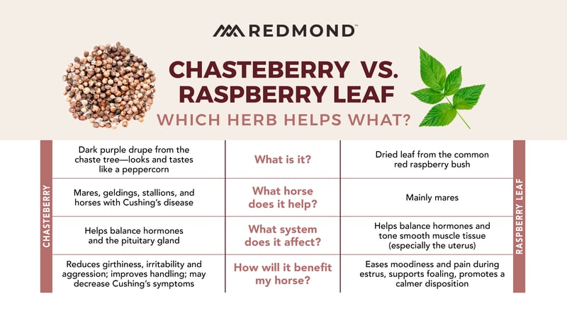 Table comparing the benefits of chasteberry and raspberry leaves for horses.