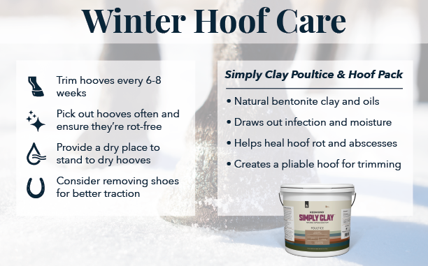 Tips for horse hoof care in winter, including using Simply Clay Poultice as a hoof pack.
