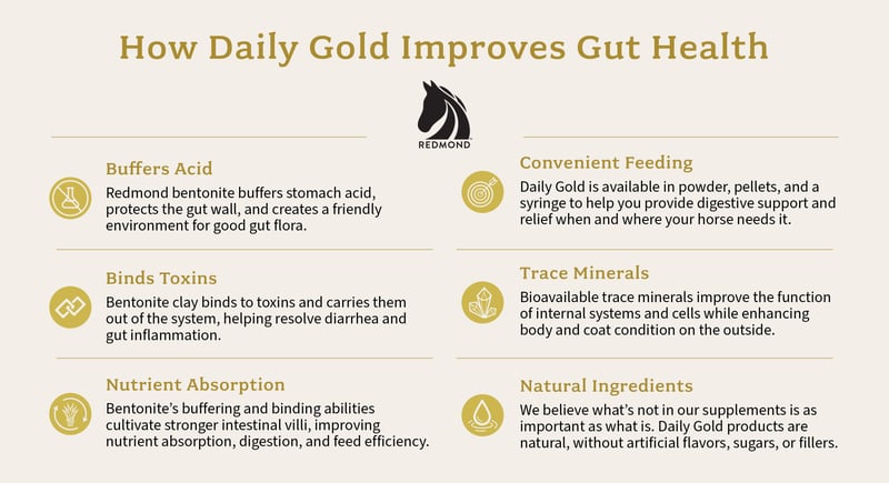 Daily Gold - one of the best supplements for older horses