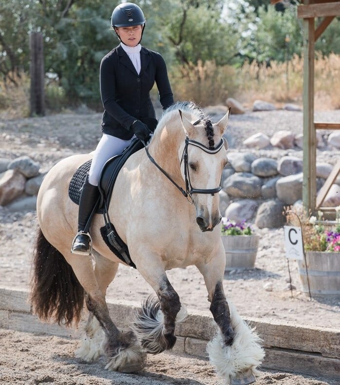 21 Horse Riding Tips for Beginners & Advanced Riders