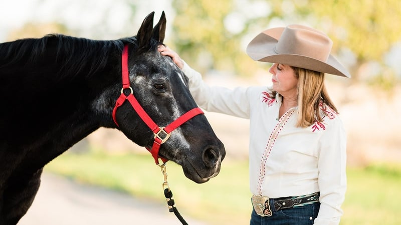 caring for senior horses