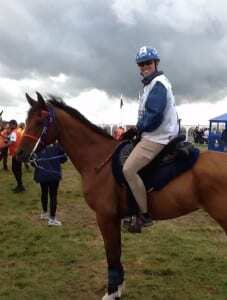 WEG 2014