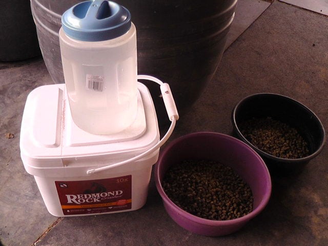 Wet mash for horses ingredients