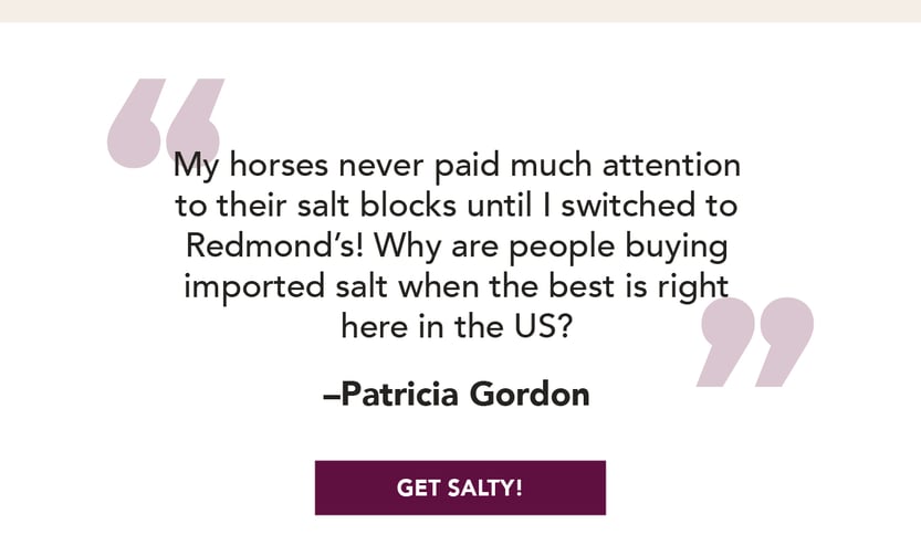 My horses never paid much attention to their salt blocks until I switched to Redmond's! Why are people buying imported salt when the best is right here in the US?