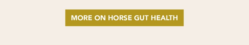 More On Horse Gut Health