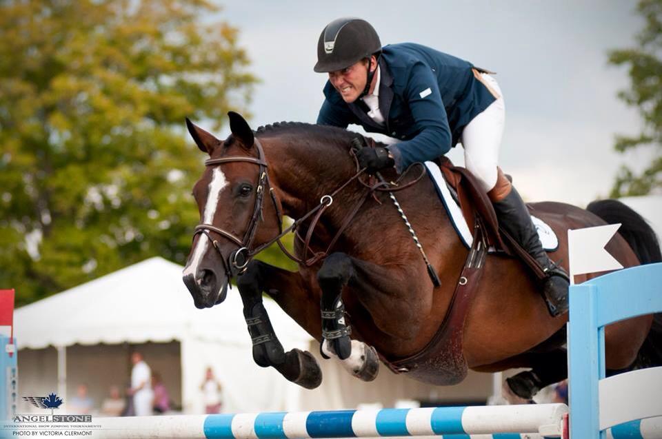G&G Sporthorses Saved a Show Jumper with Redmond Daily Gold