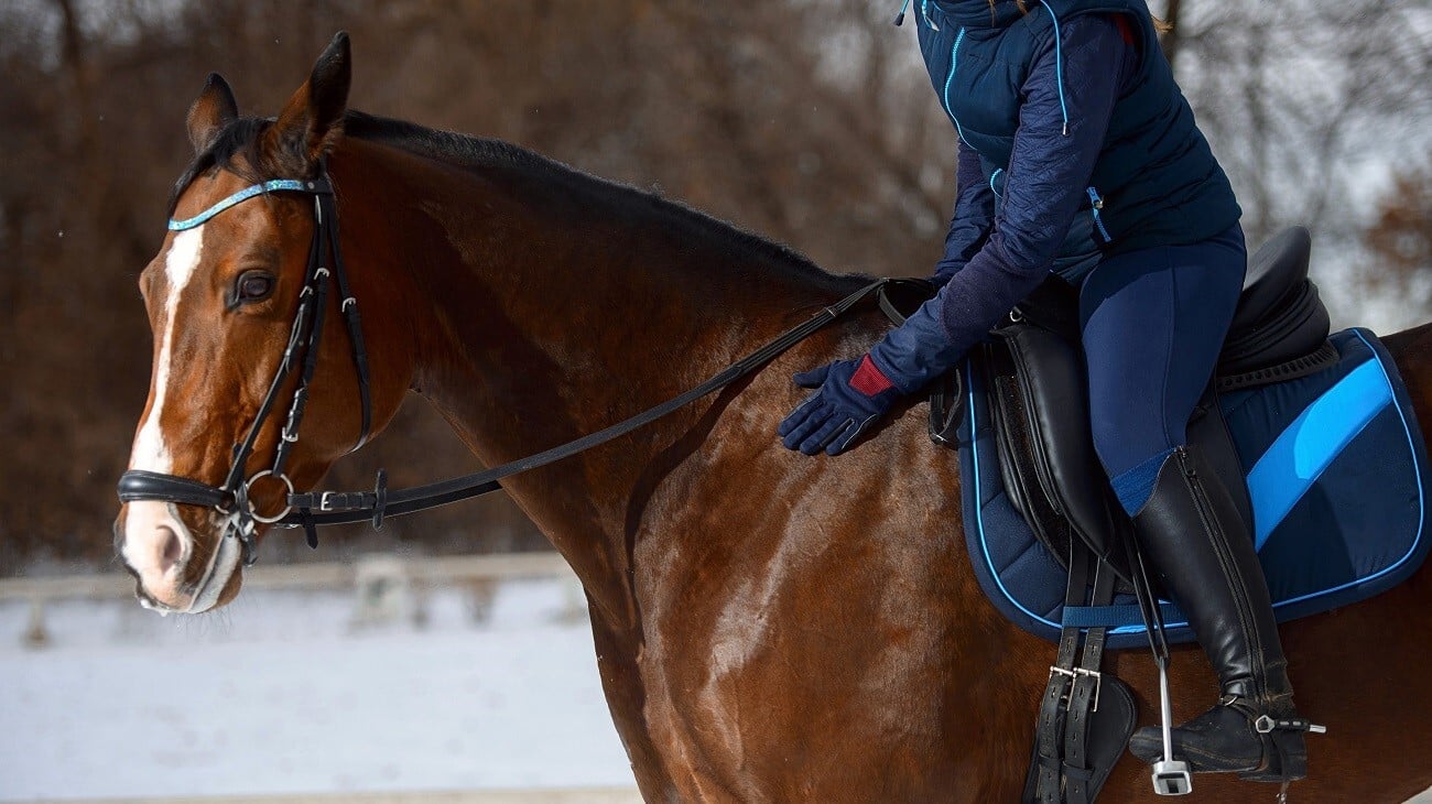 Winter Horse Riding Tips | Top Picks for Cold Weather Riding Gear