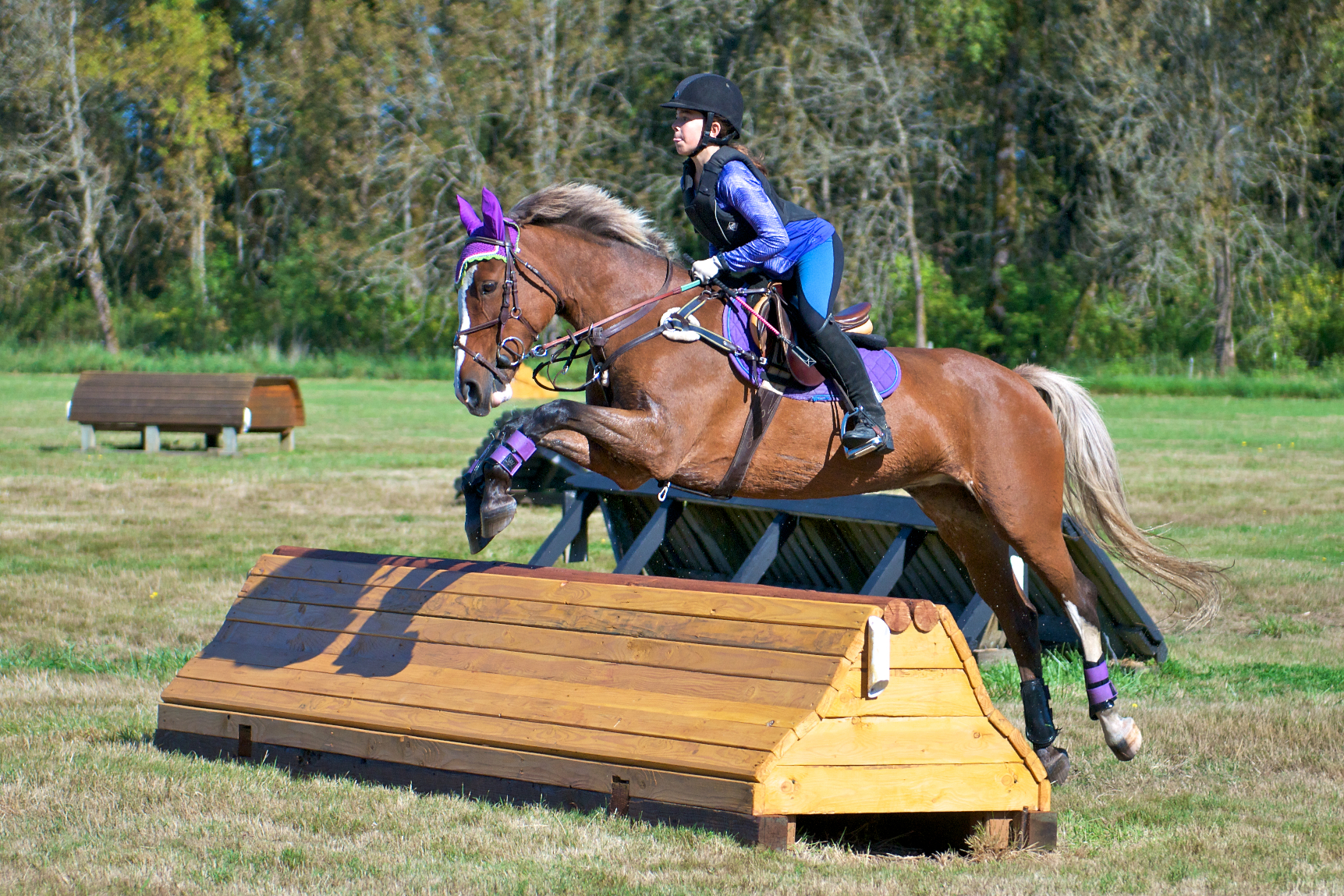 God Made a Horse – For My Family