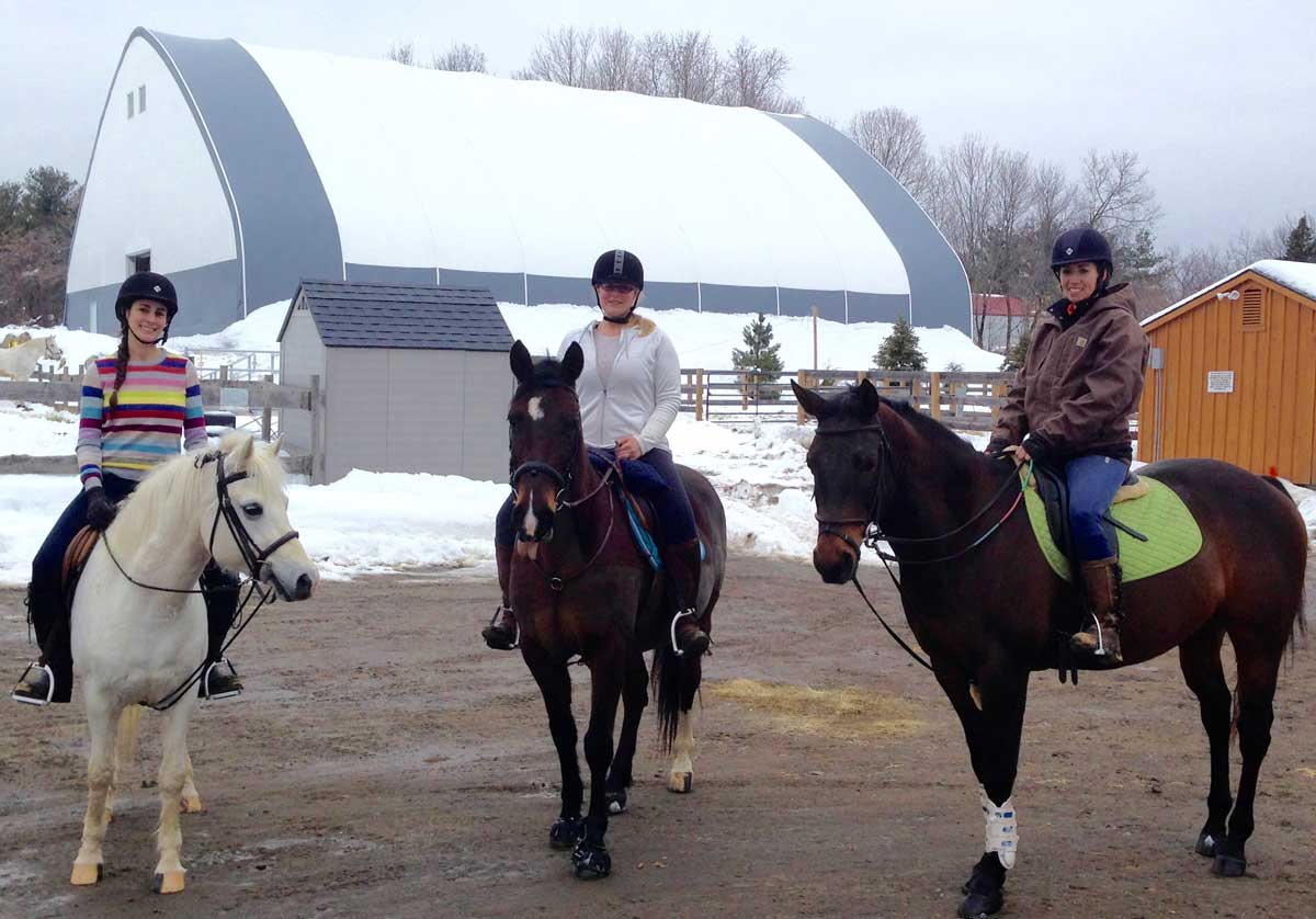 Redmond Daily Gold: Cost-Effective Treatment for Equine Ulcers