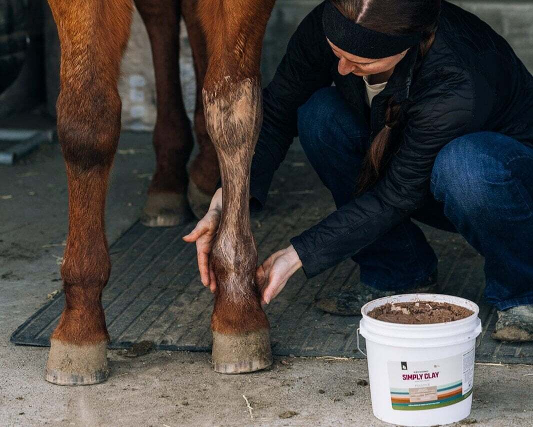 Poultice for Horses: How to Reduce Swelling in Legs