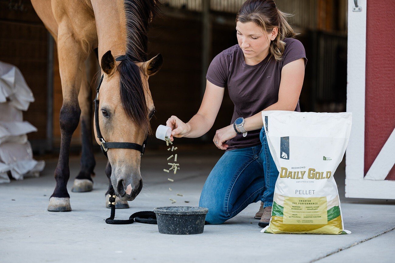 Natural Horse Digestive Supplement | Redmond Daily Gold Pellets