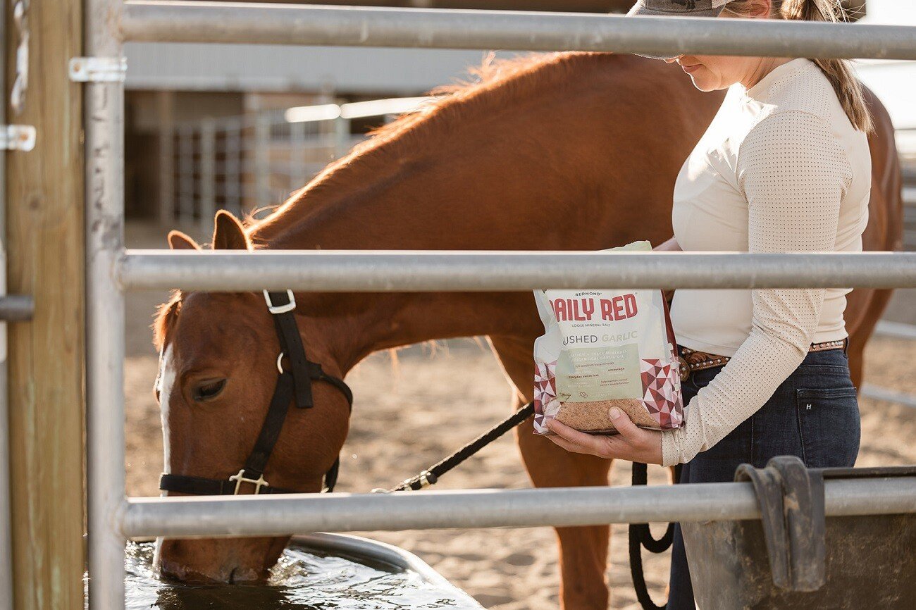 Why You Should Be Feeding Loose Salt for Horses