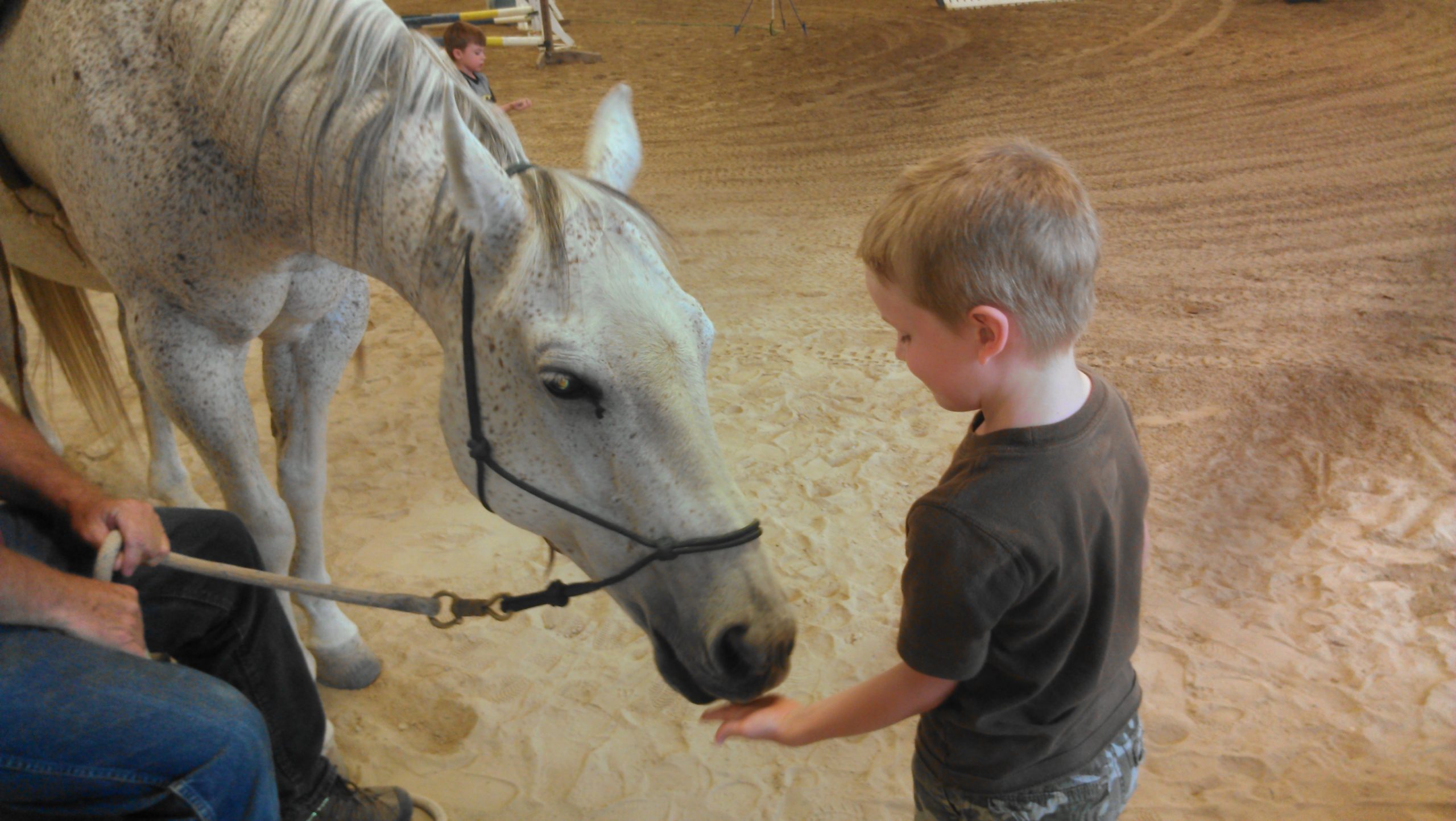 God Made a Horse – For Us