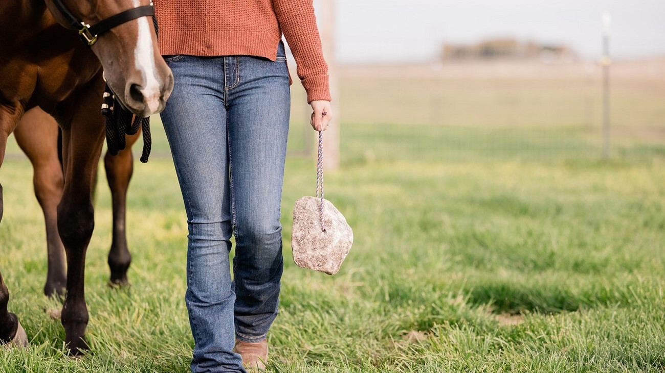 The Seasons Change — So Should Your Horse's Minerals!