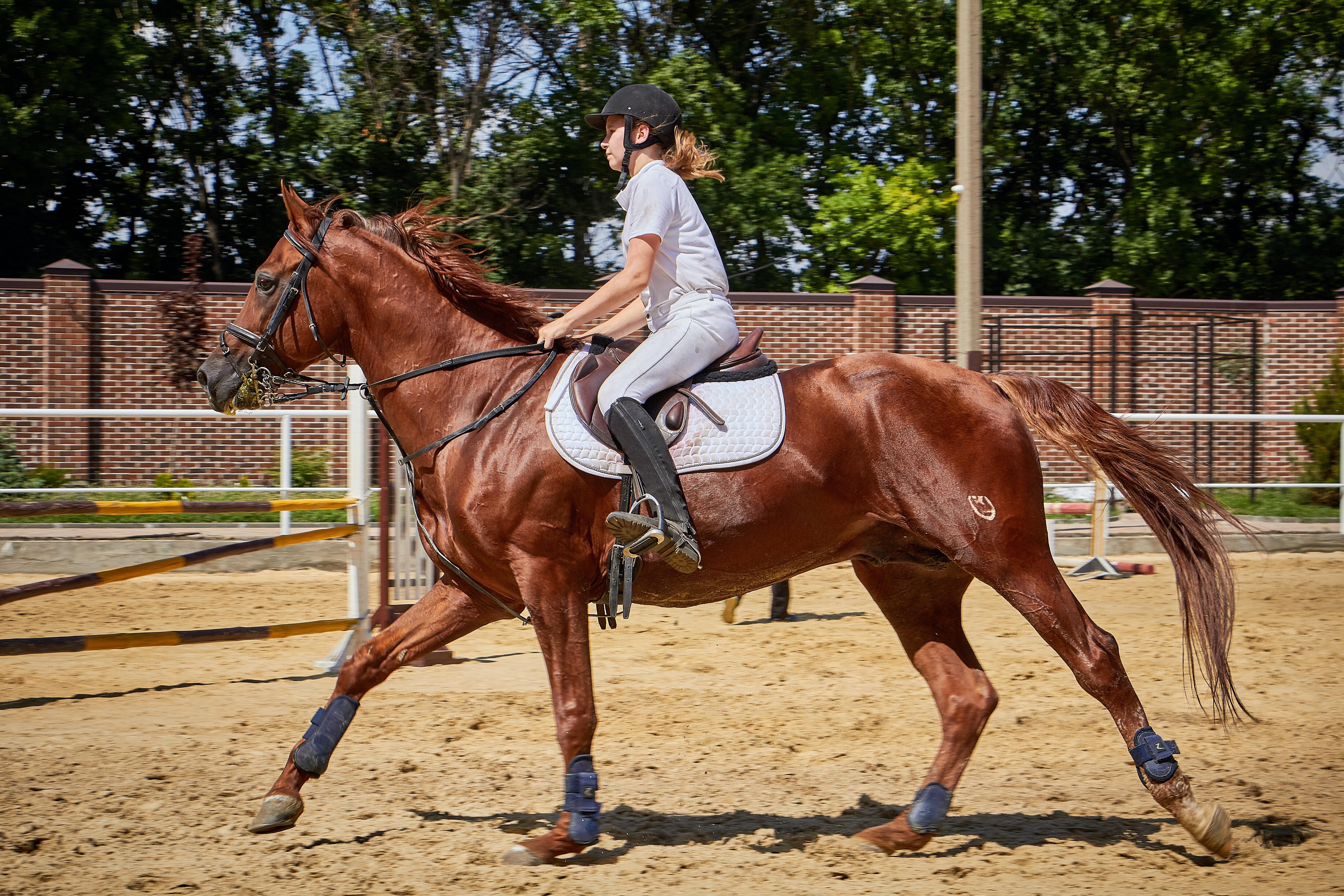 How Kate Helped Her Stressed Horse Calm Down & Focus | A Redmond Story