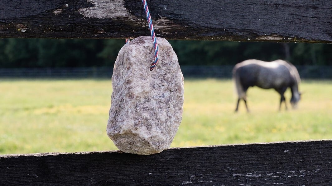 How Your Horse's Redmond Rock Salt Lick Was Made