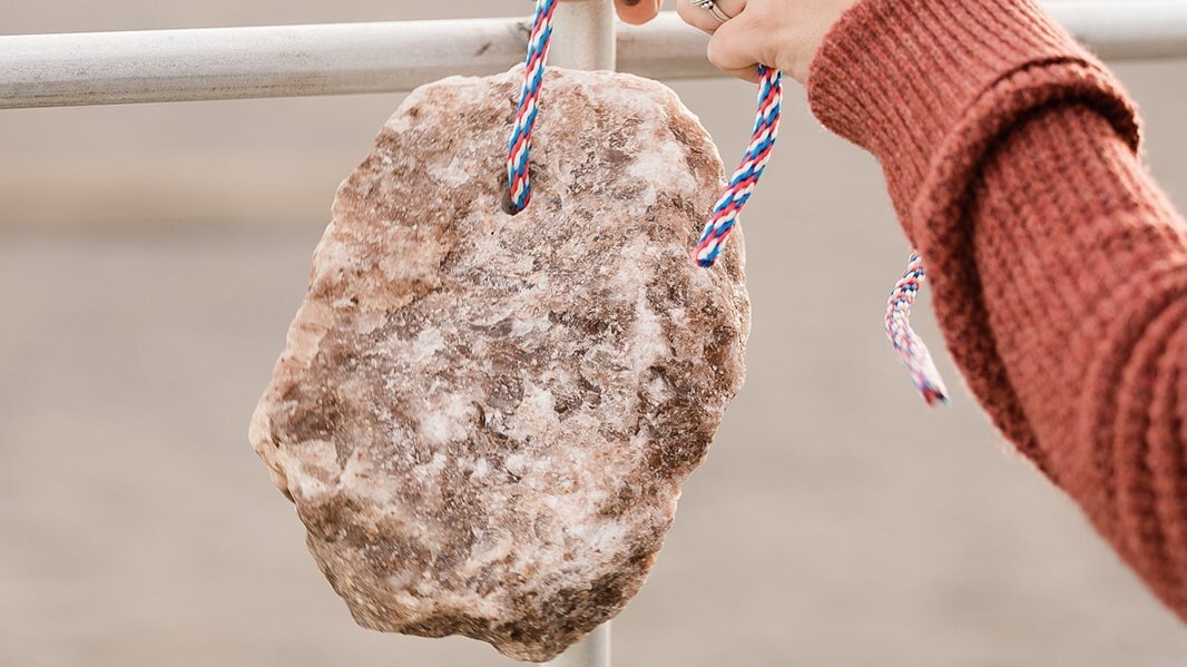 How Much Iron Is in Redmond Equine Products?