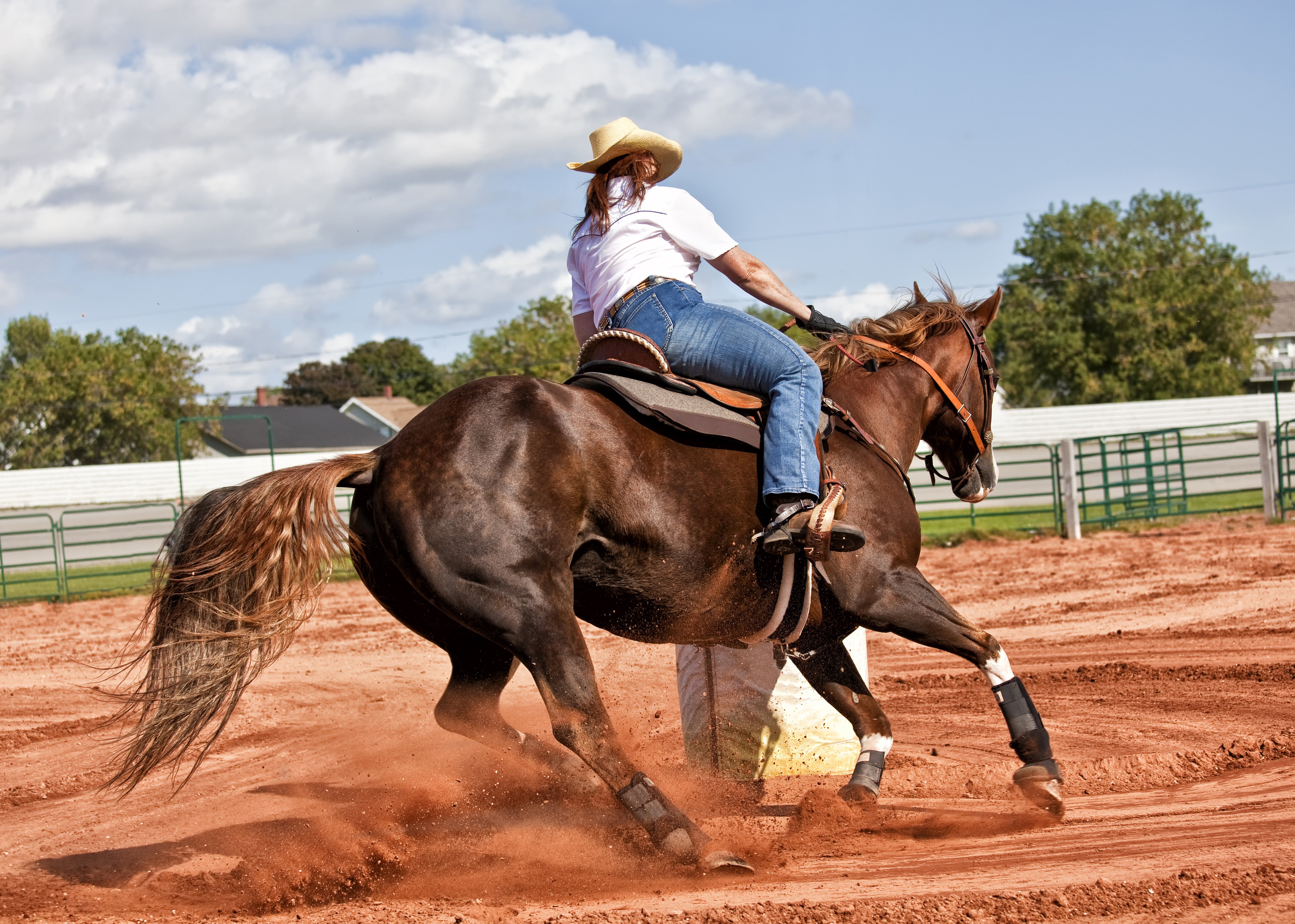 Emma Uses Daily Gold Syringe to Calm Stressed Horses | A Redmond Story