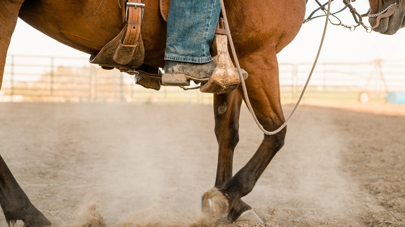 How Kelly Keeps Horses' Mineral Levels Up | A Redmond Story